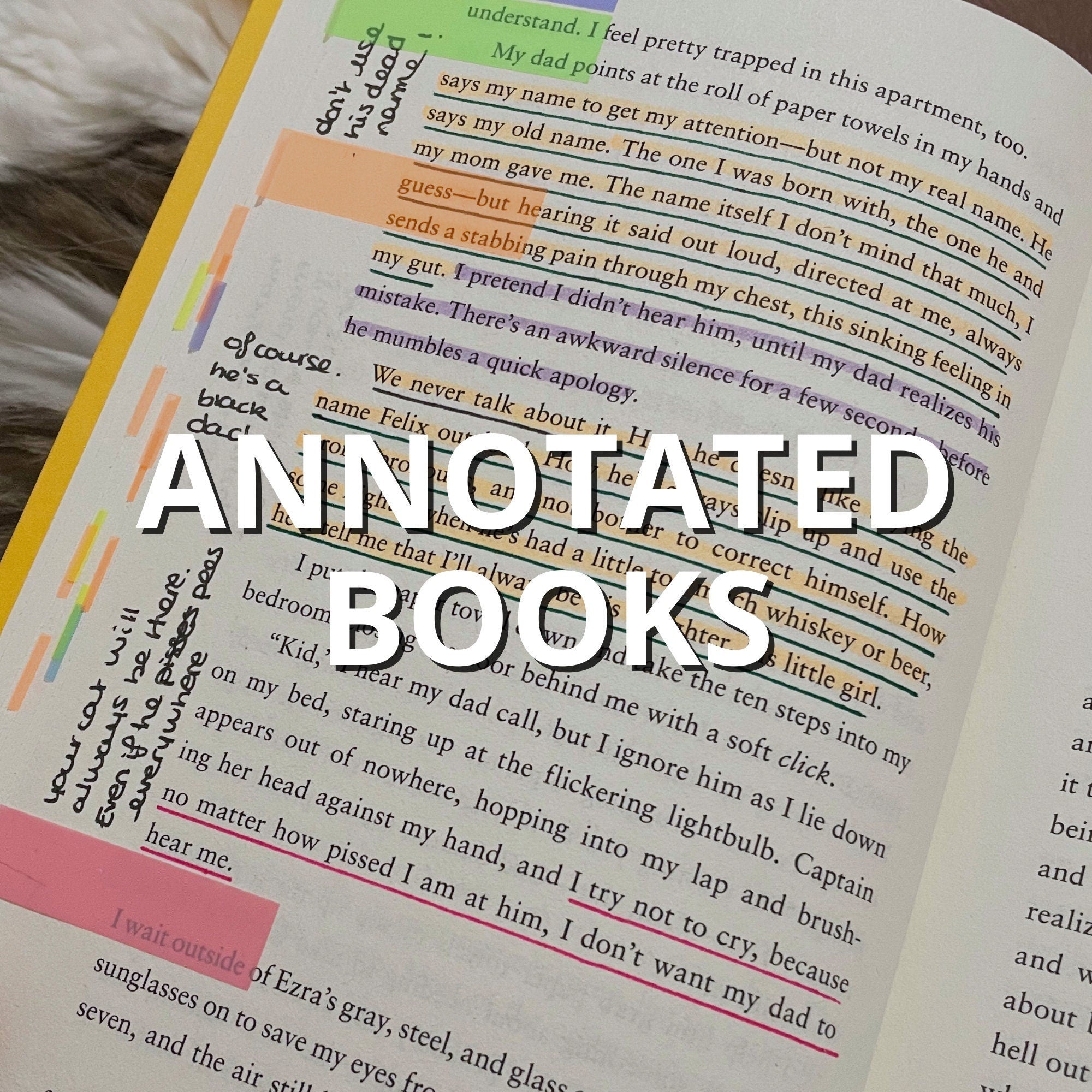 Custom Annotated Books