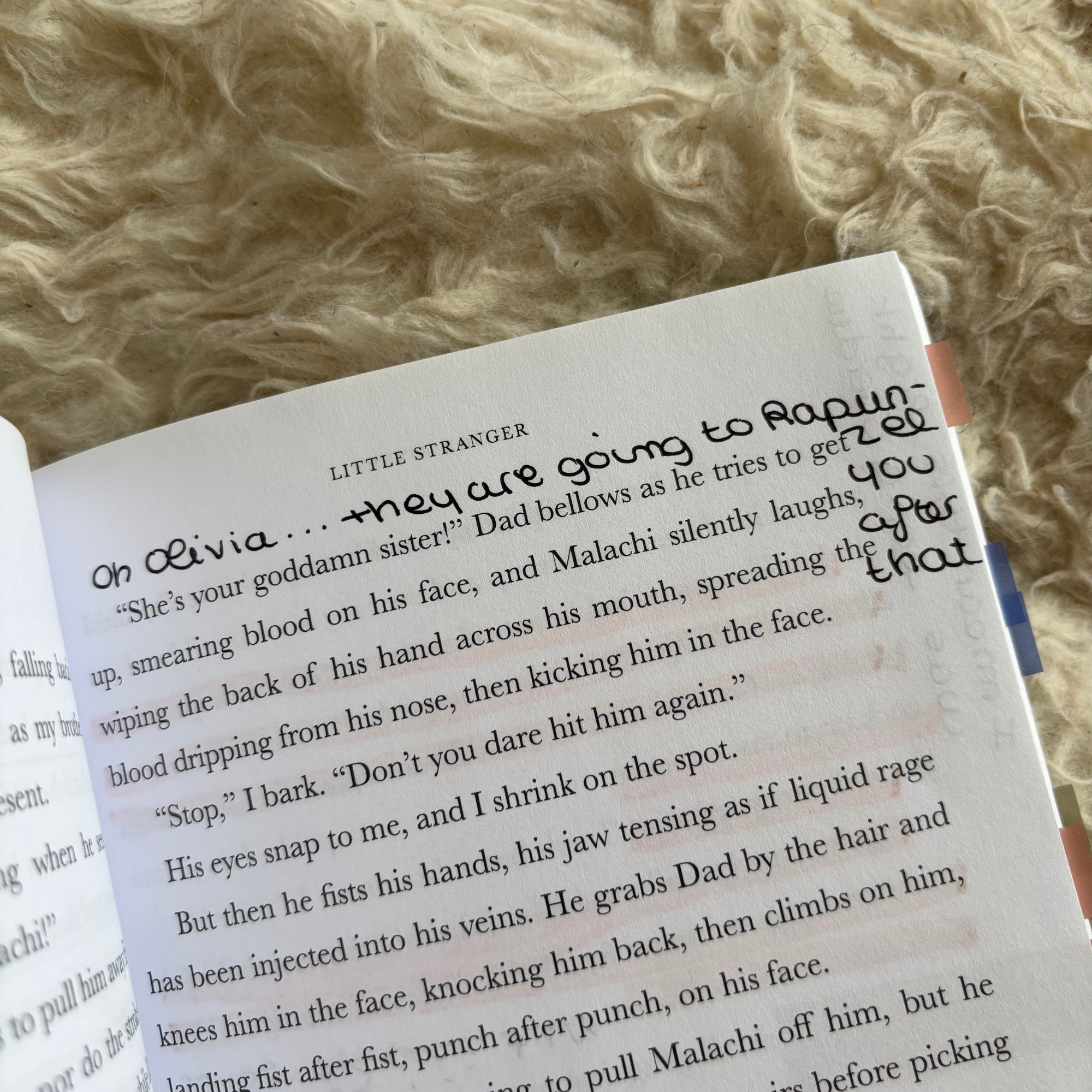 The Web of Silence Duet Annotated Books