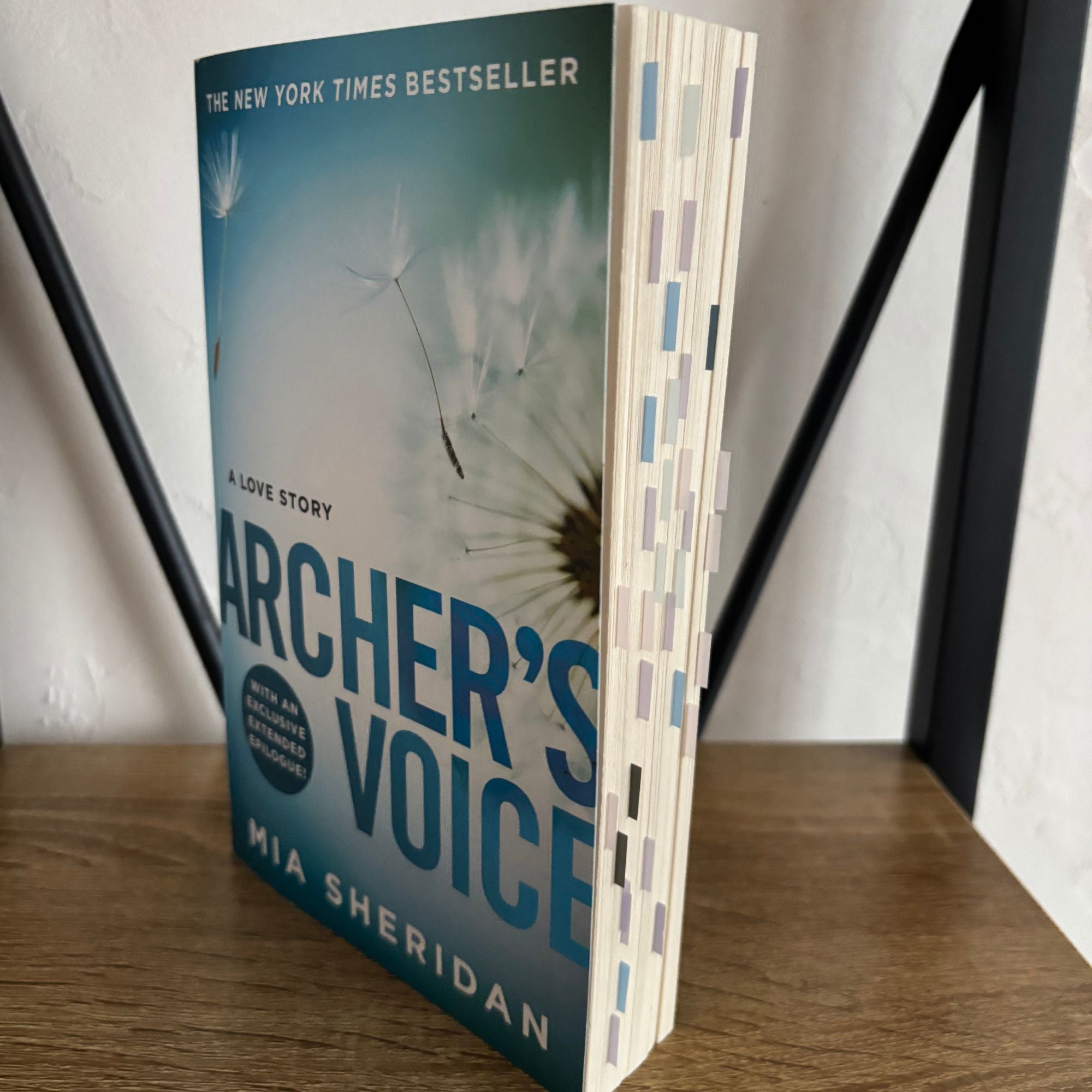 Archer's Voice Annotated Book
