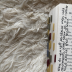 God of Fury Annotated Book