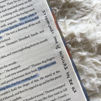 Don't Let The Forest In Annotated Book