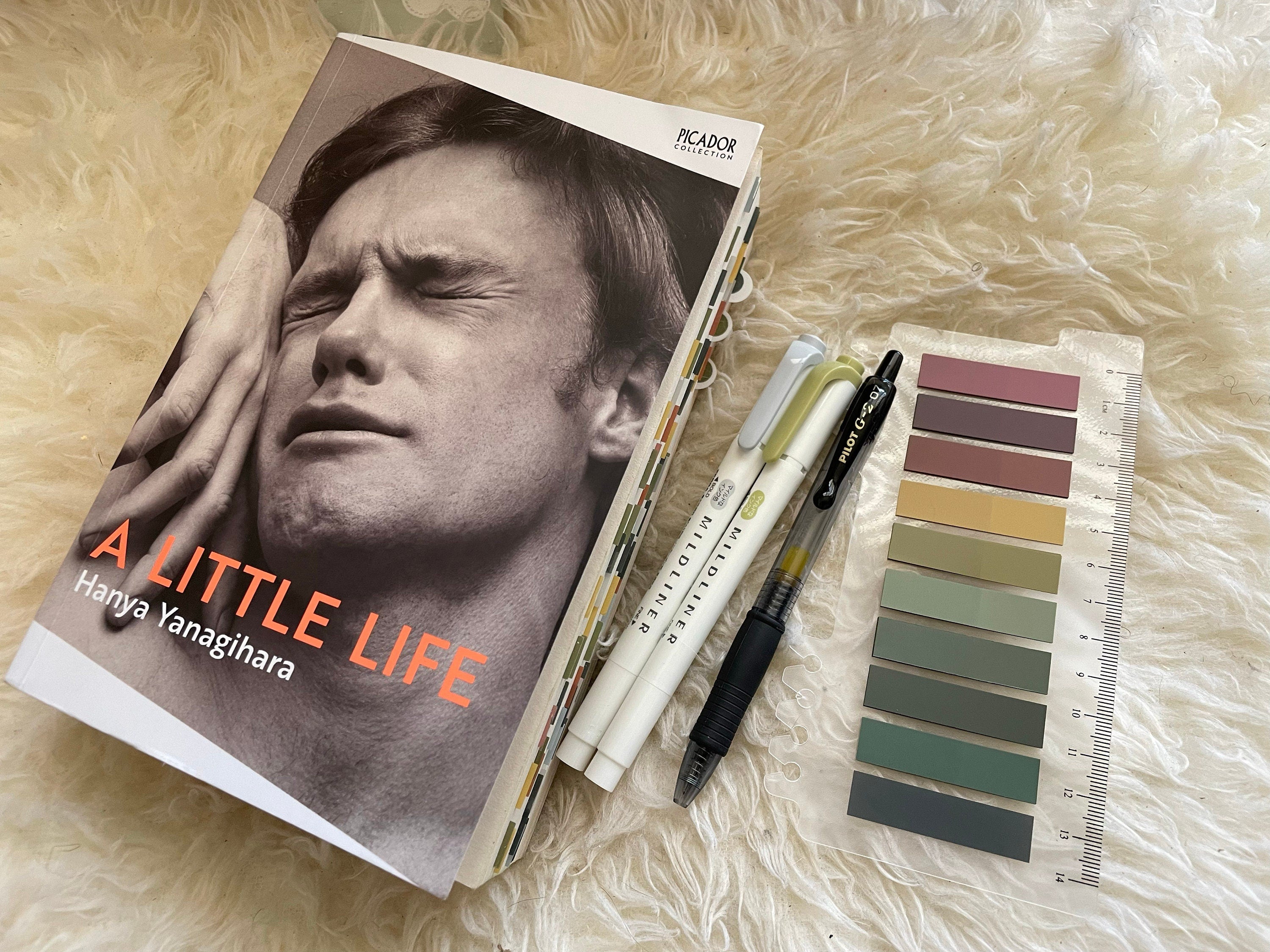 A Little Life Annotated Book