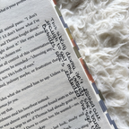 Don't Let The Forest In Annotated Book