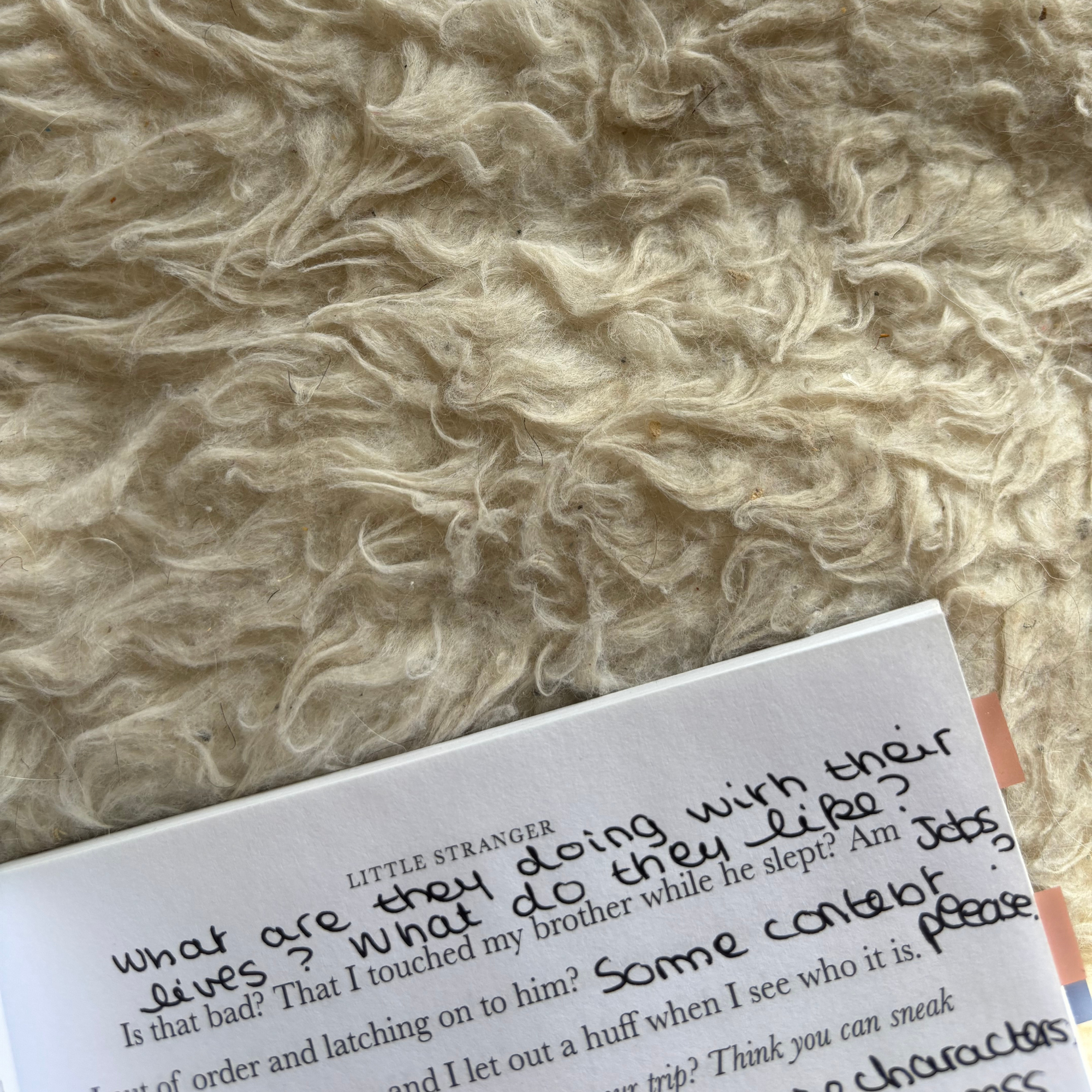 The Web of Silence Duet Annotated Books