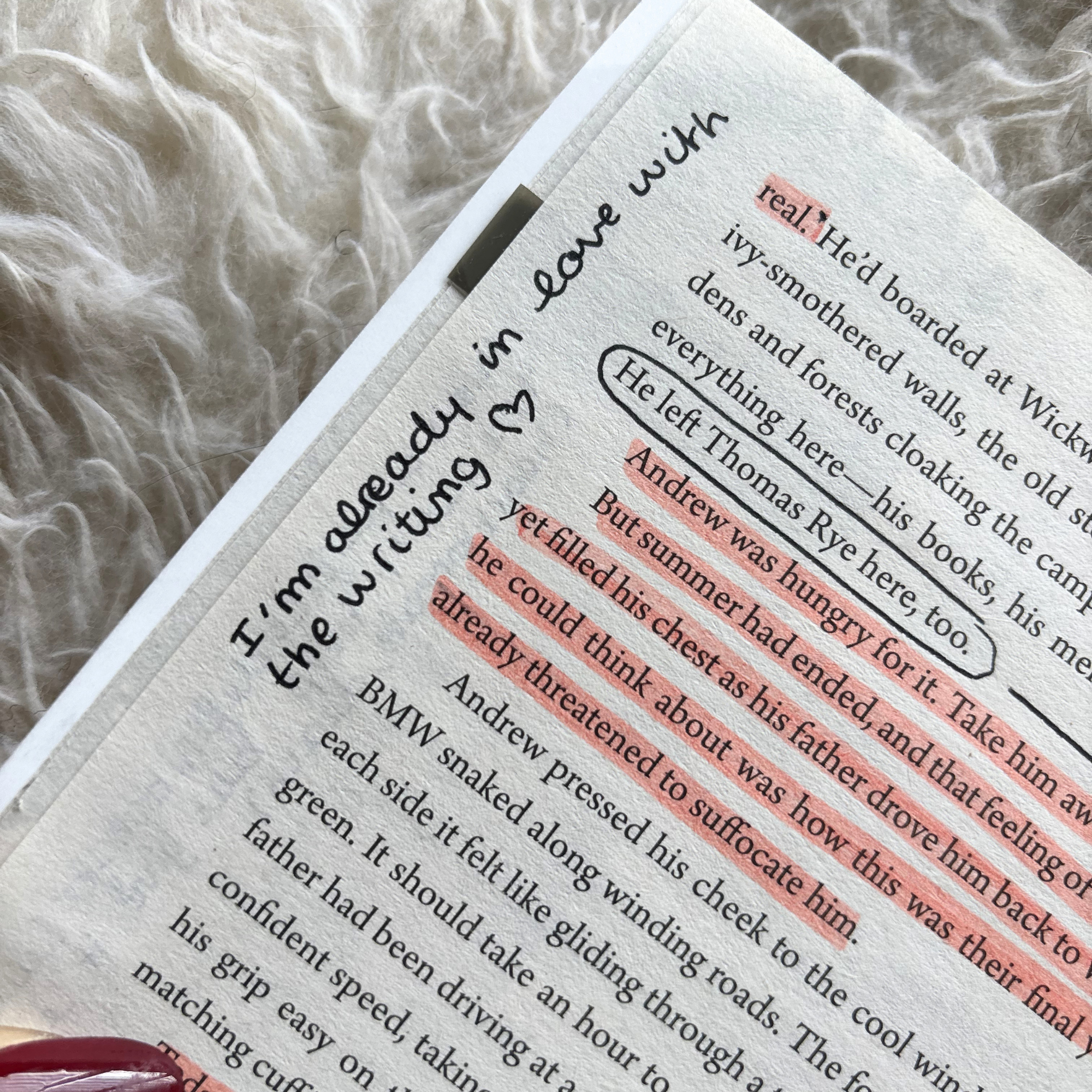 Don't Let The Forest In Annotated Book