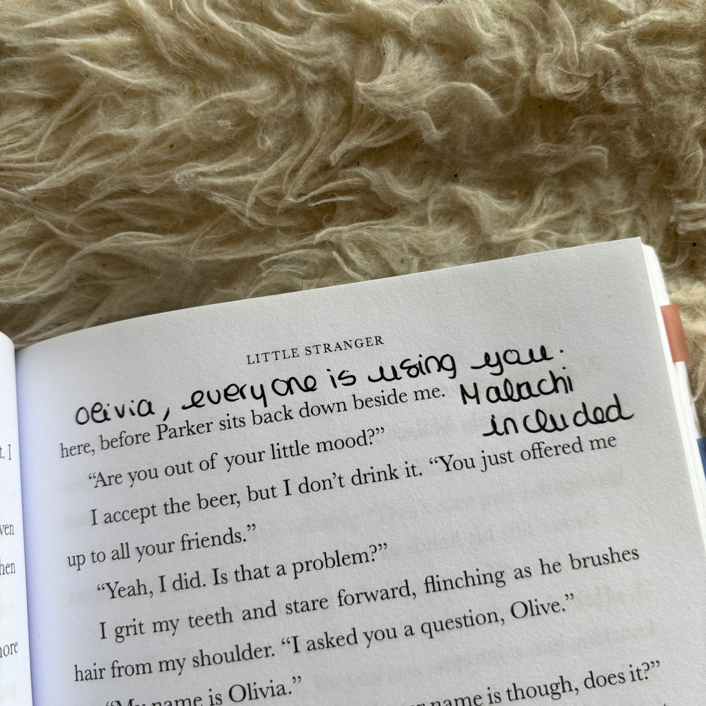 The Web of Silence Duet Annotated Books