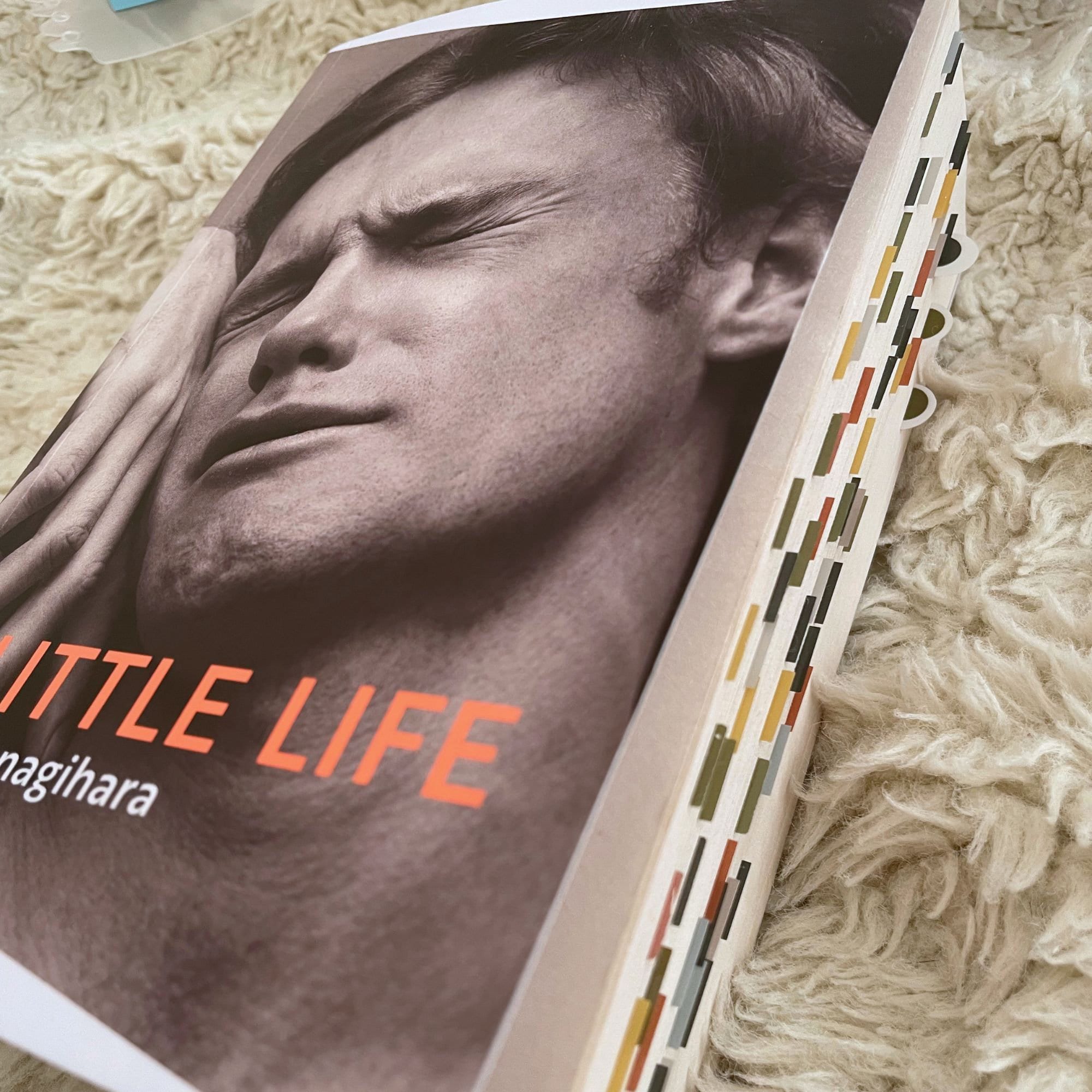 A Little Life Annotated Book