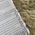 The Web of Silence Duet Annotated Books
