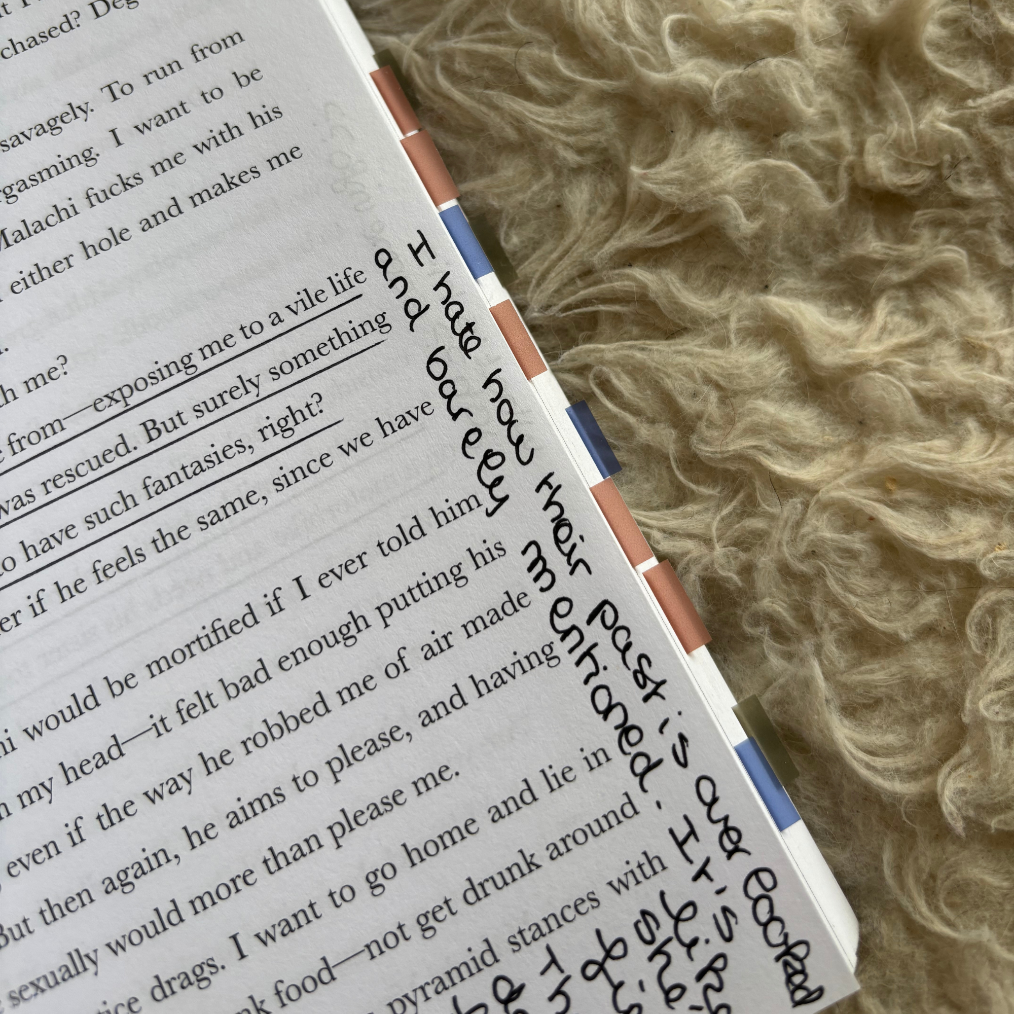 The Web of Silence Duet Annotated Books
