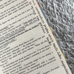 Benedict - Bridgerton Series Annotated Books