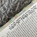 Off-Campus Series Annotated
