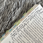 Off-Campus Series Annotated