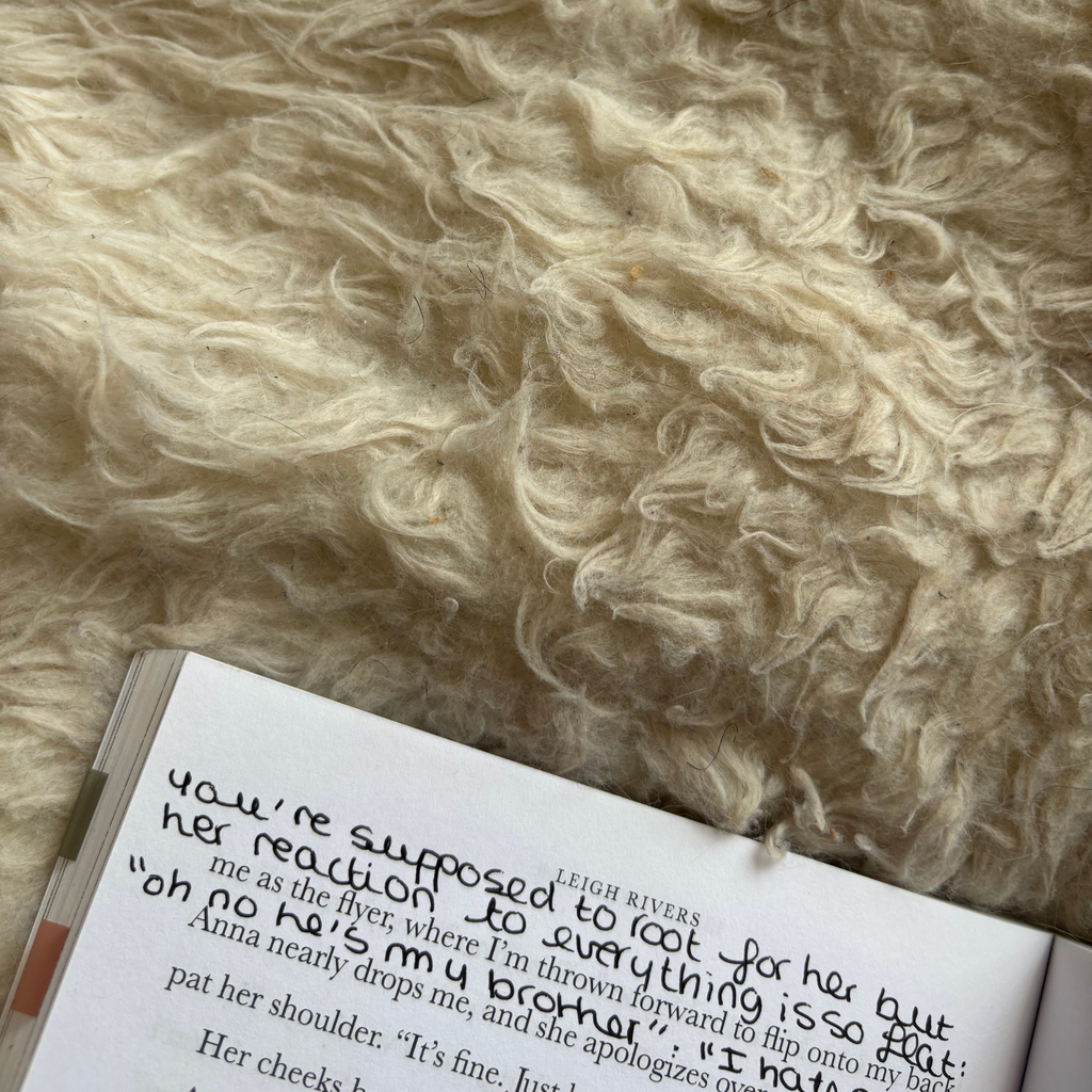 The Web of Silence Duet Annotated Books