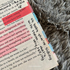My Dark Vanessa Annotated Book