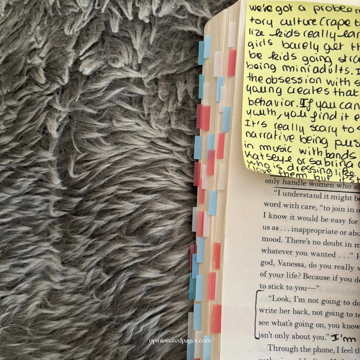 My Dark Vanessa Annotated Book
