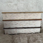Empyrean Series Annotated Books