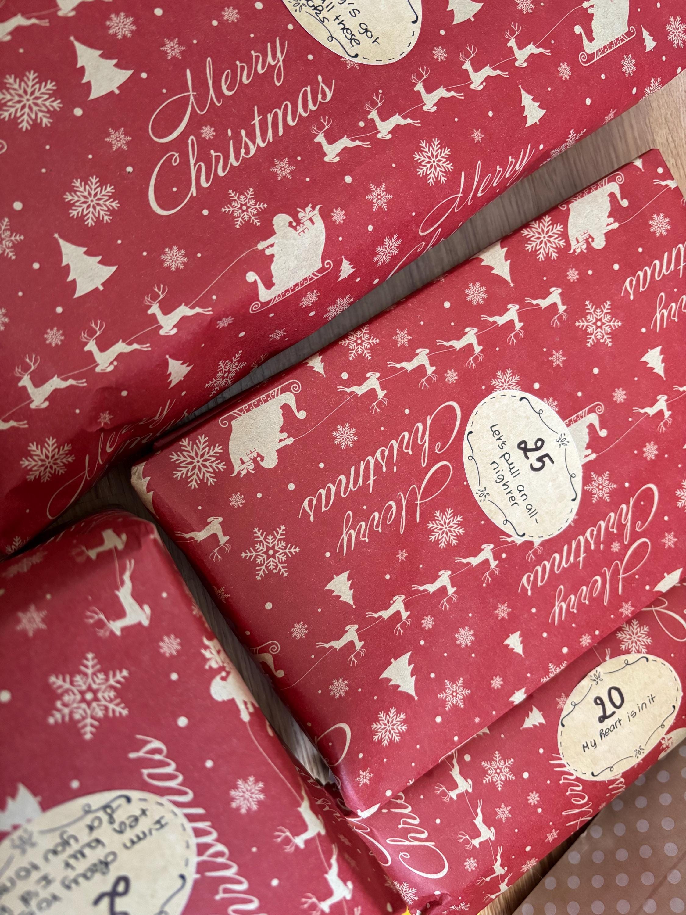 Bookish Christmas Advent Calendar For Book Lovers