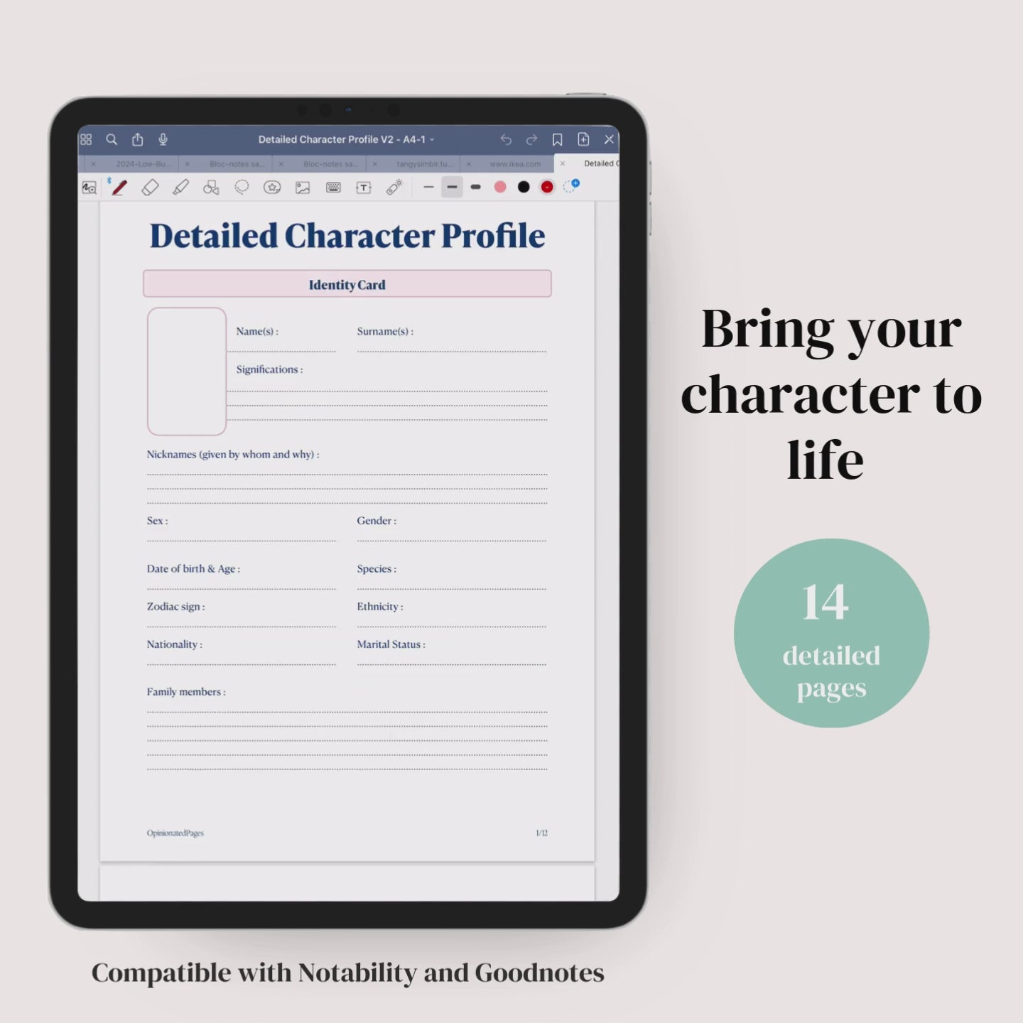 Main Character Profile Sheet