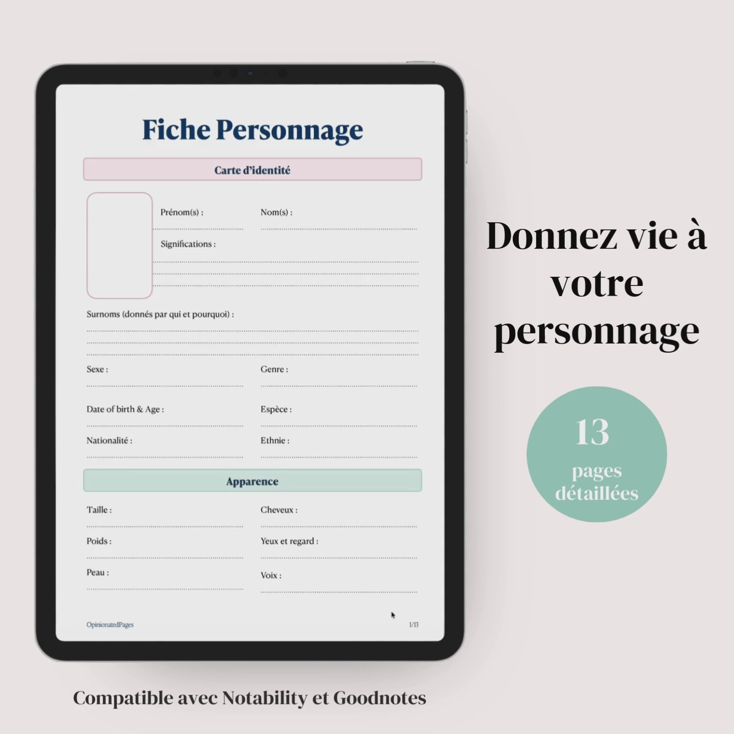 Fiche Personnage Principal